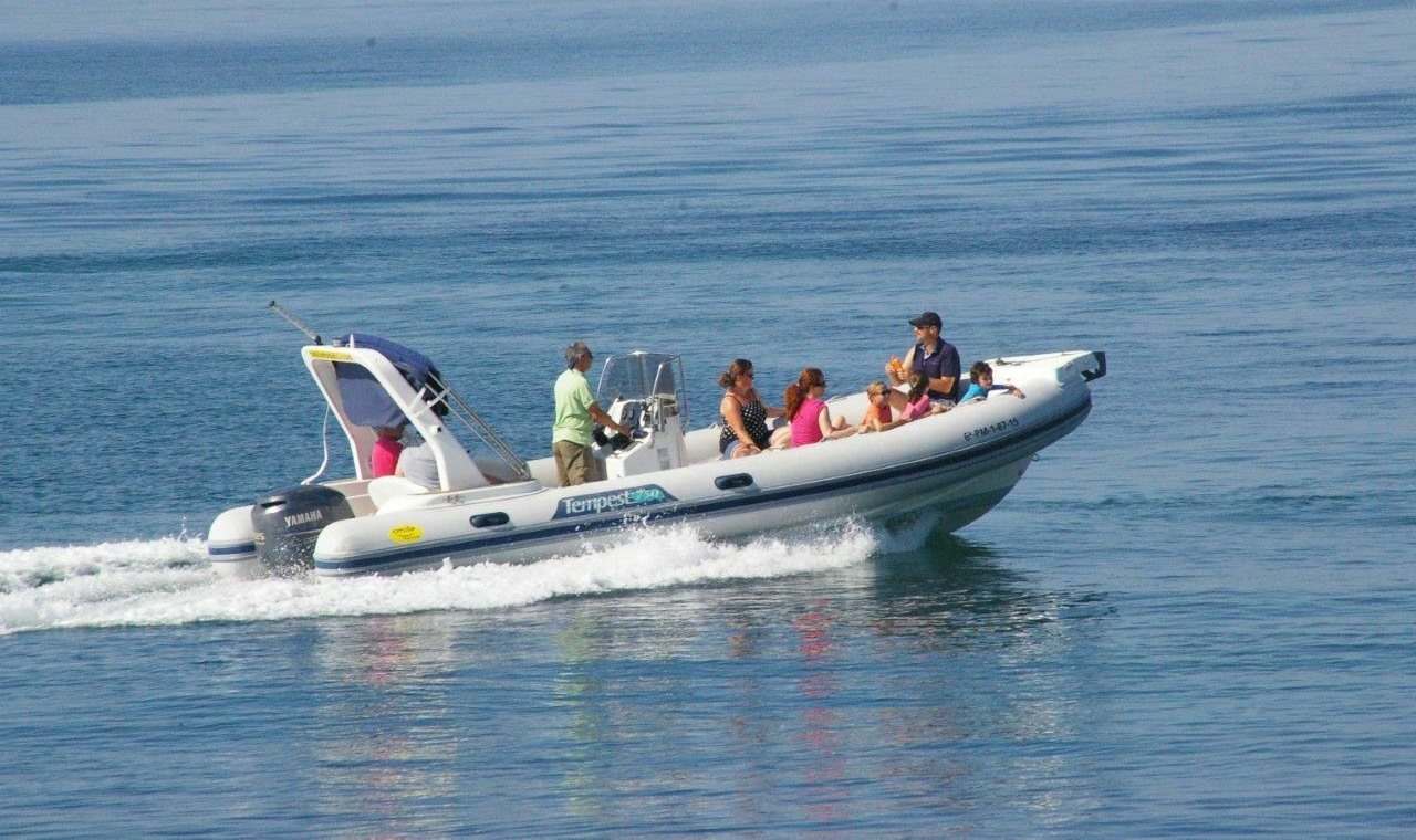 Capelli — Tempest 7.5 (2015)