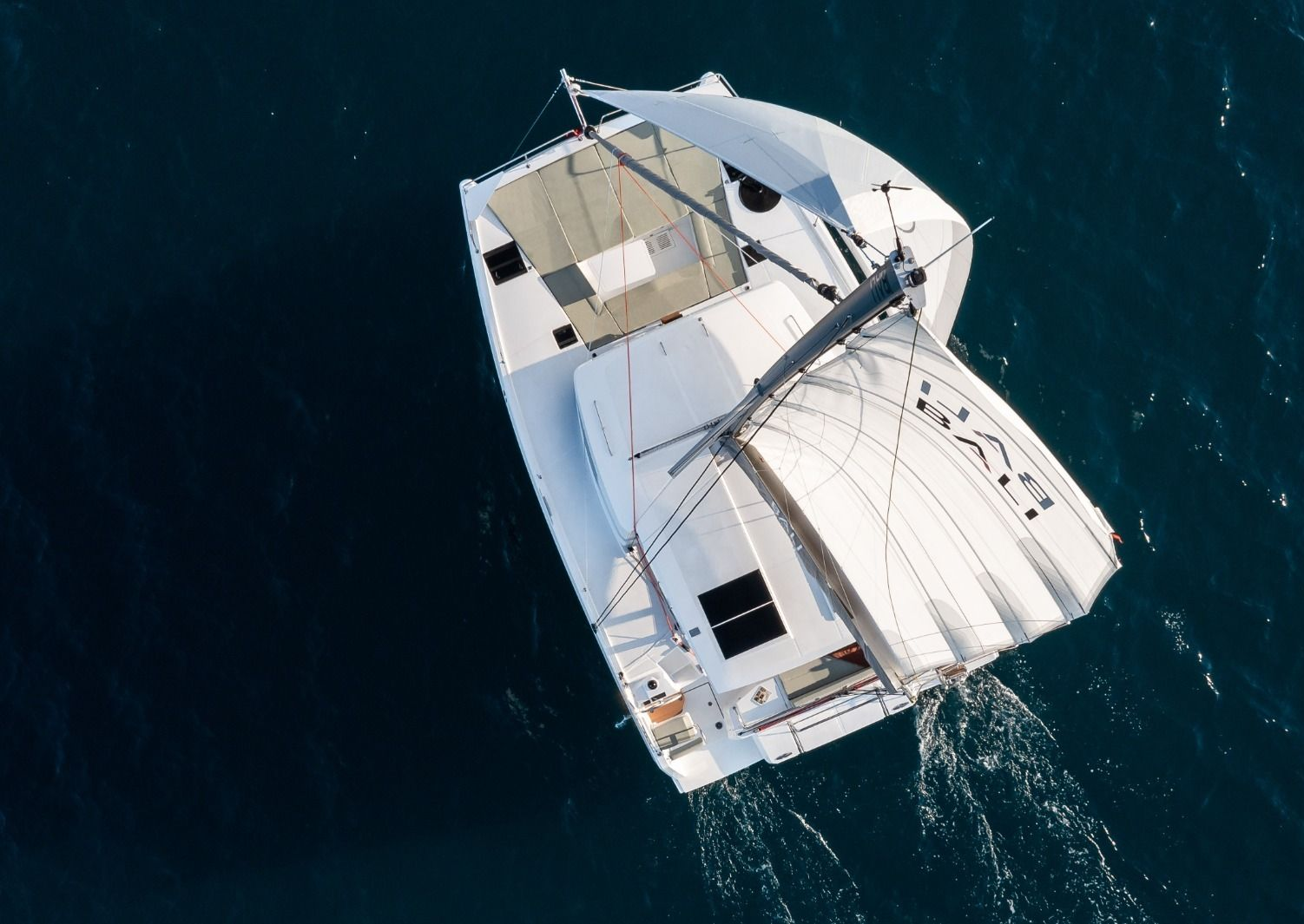 Bali Catsmart (2023)