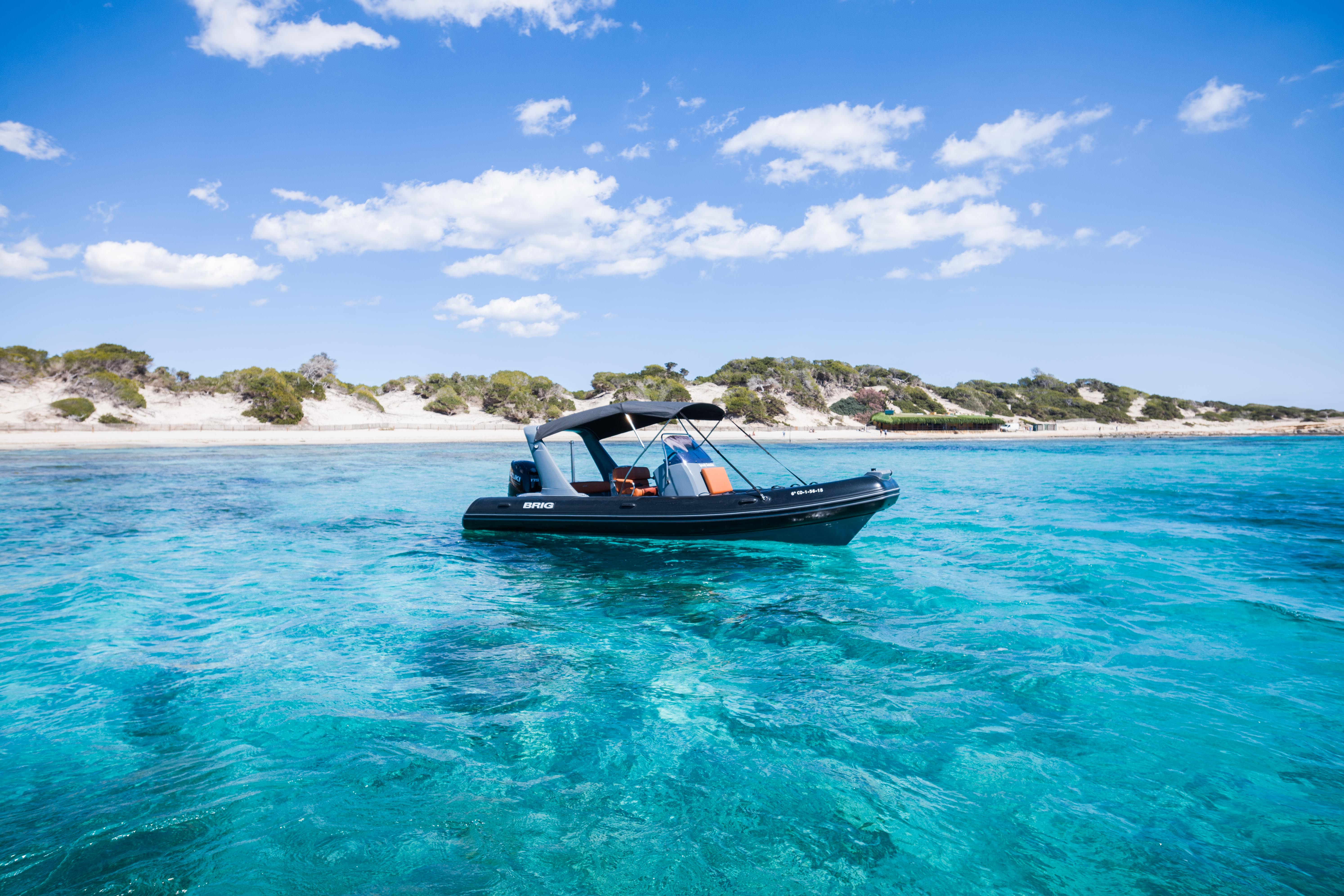 BRIG 650 SPEEDY GONZALEZ