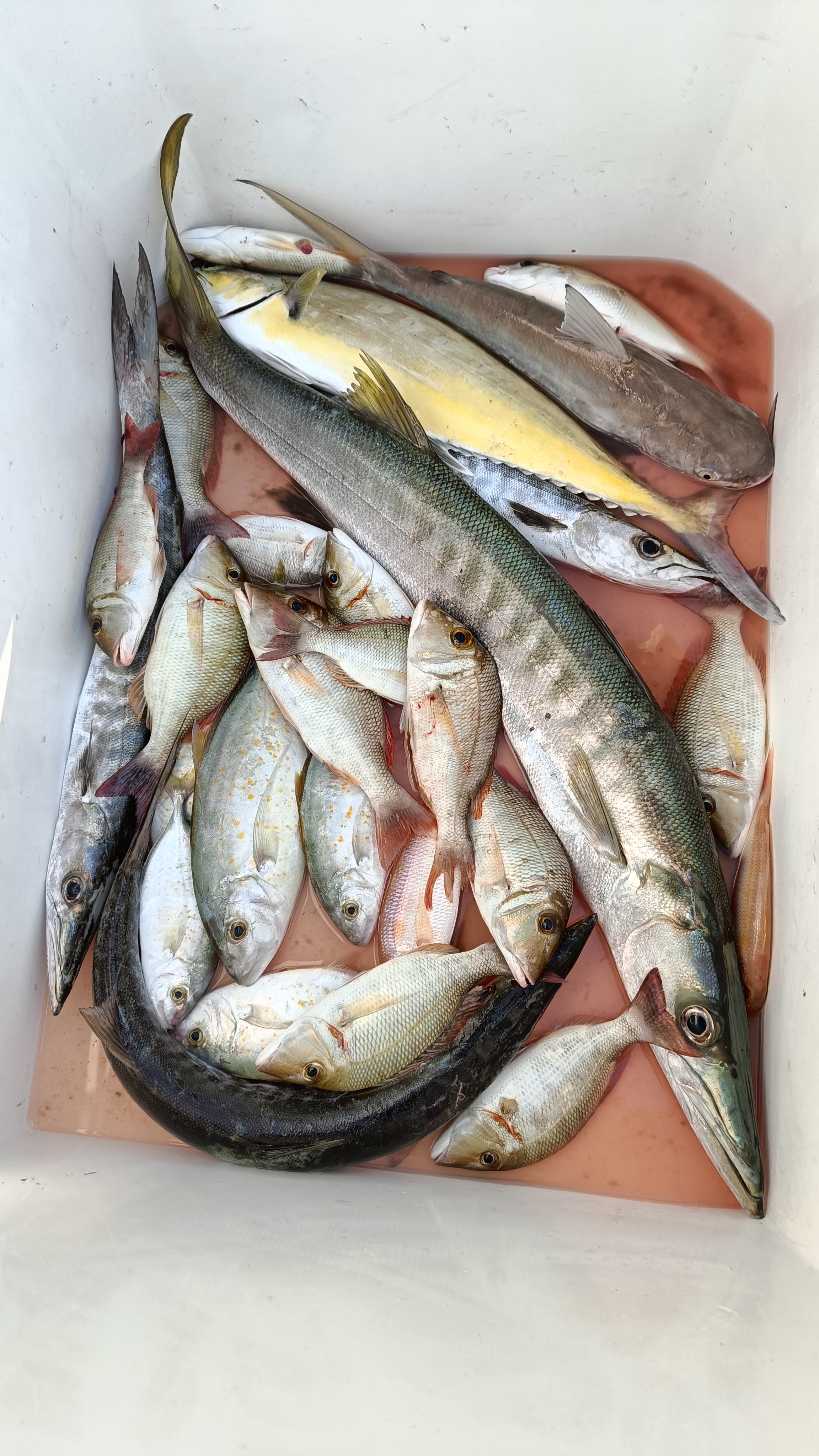 Deep Sea fishing (4 hrs) for 10 pax.