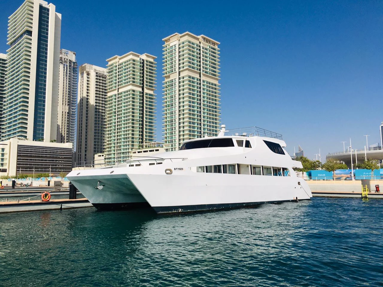 100ft Dream