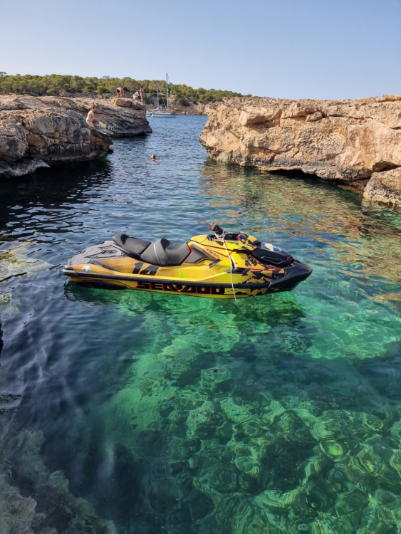 Sea Doo Rxt-X Rs 300cv Limited Edition