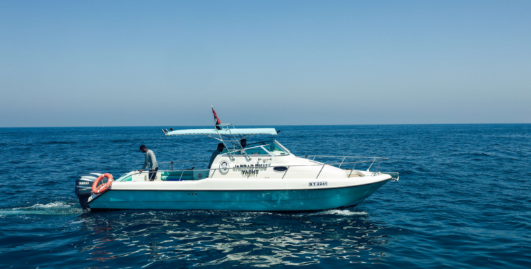 Silver Craft