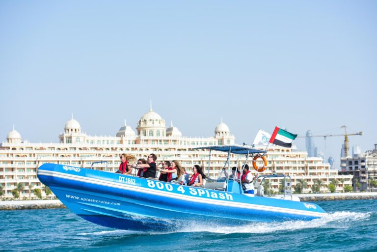 90-min Sightseeing Tour (Black Boats)