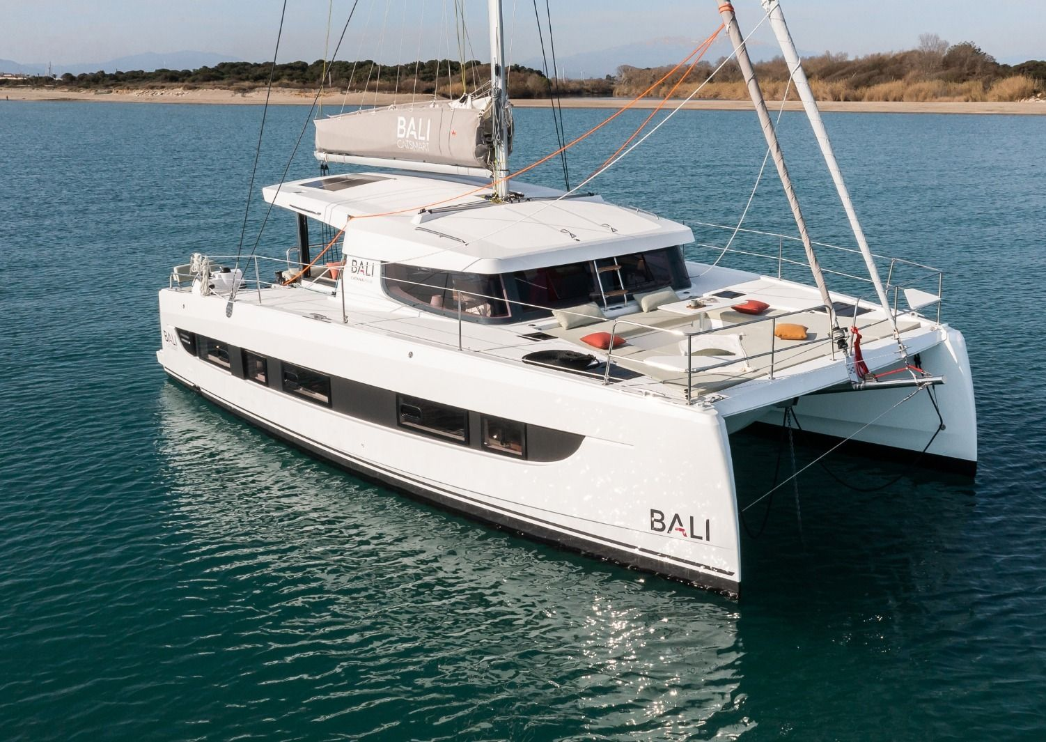 Bali Catsmart (2023)