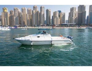 BLOSSOM 33 – 10ft/3m (2017) – Yacht