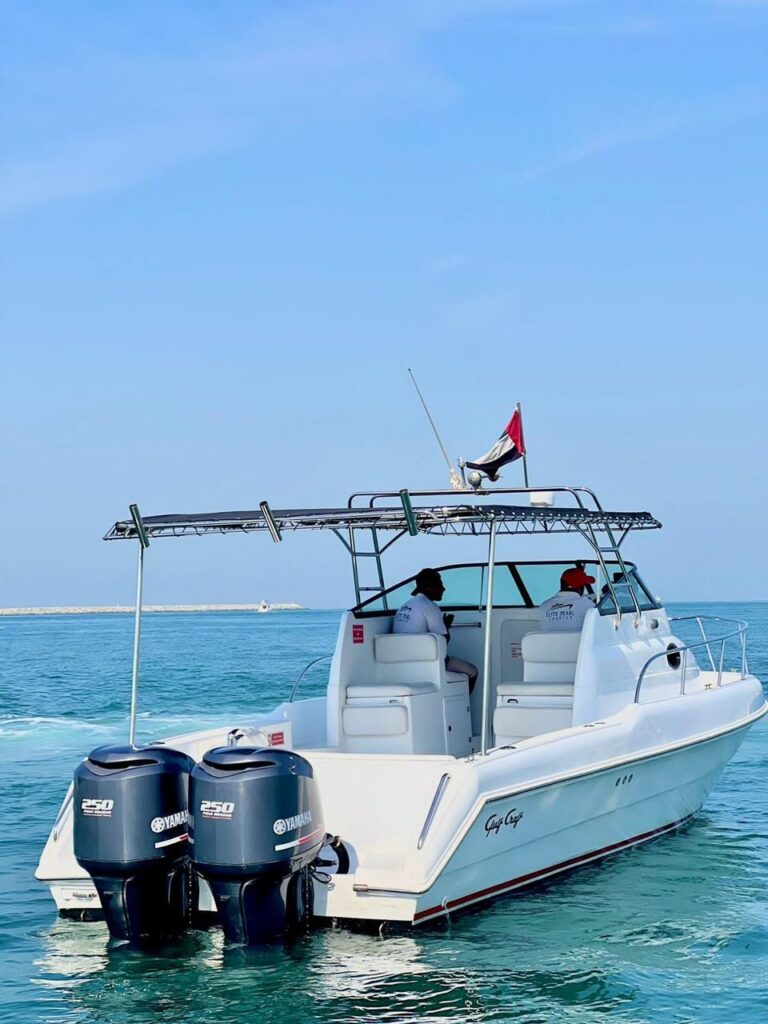 31ft Elite (Elite Pearl)