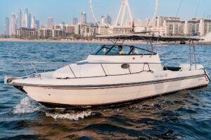 33ft Sleek (Serene)