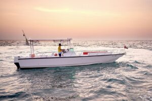 35ft Master Boat (Dubai Cruise)