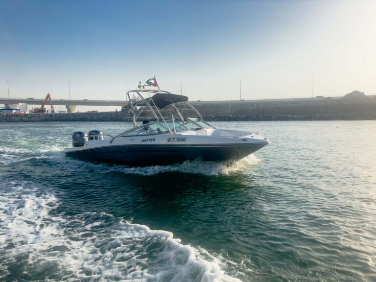 Tour Boat 30ft