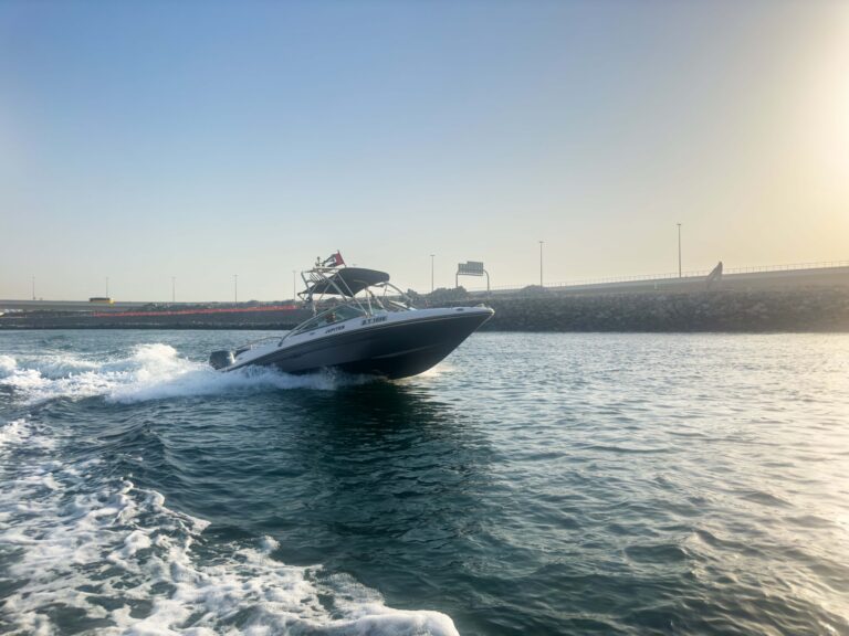 Tour Boat 30ft