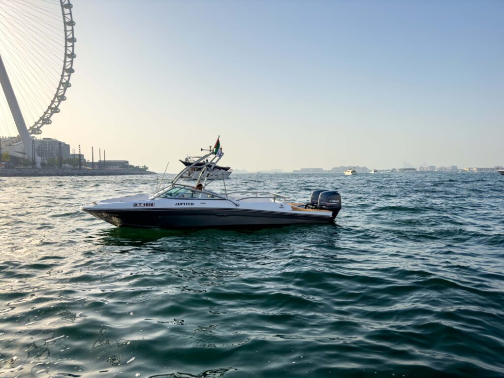 Tour Boat 30ft