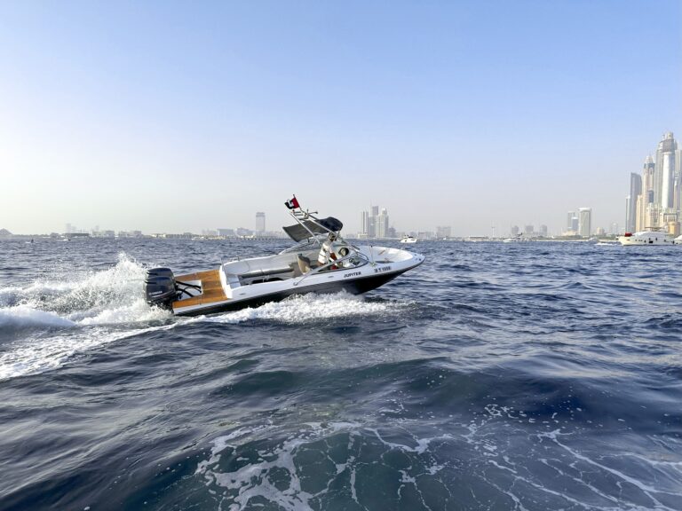 Tour Boat 30ft