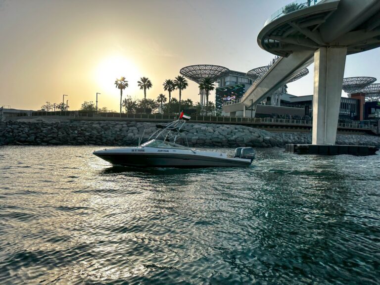 Tour Boat 30ft